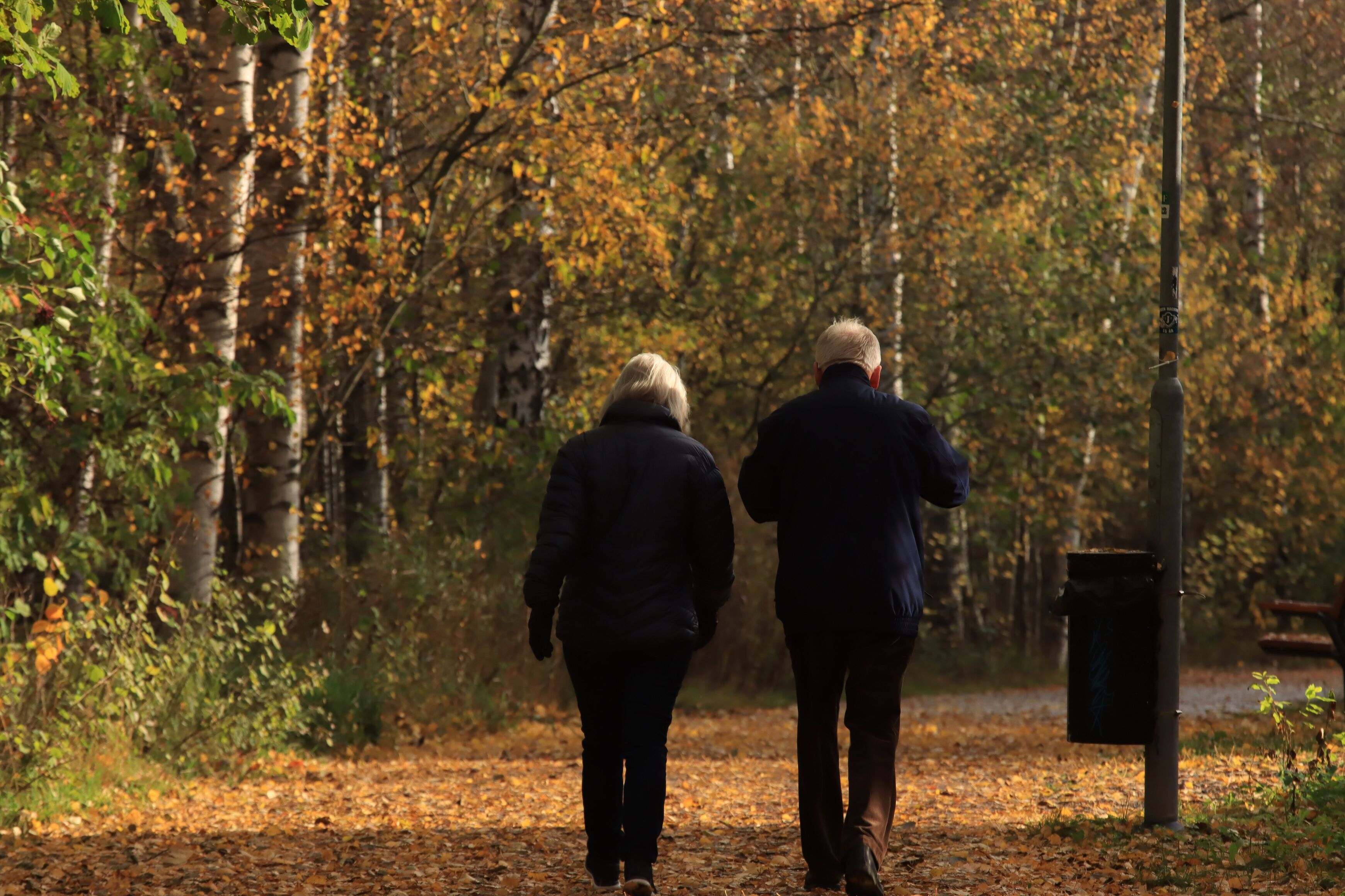 Elderly couple walking side by side on a leaf-covered path in an autumn park